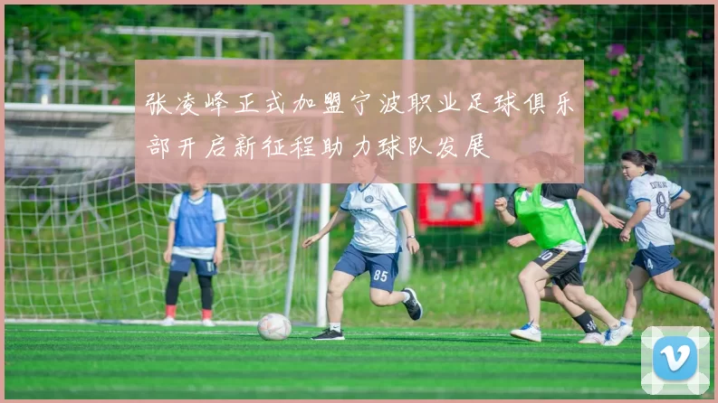 张凌峰正式加盟宁波职业足球俱乐部开启新征程助力球队发展